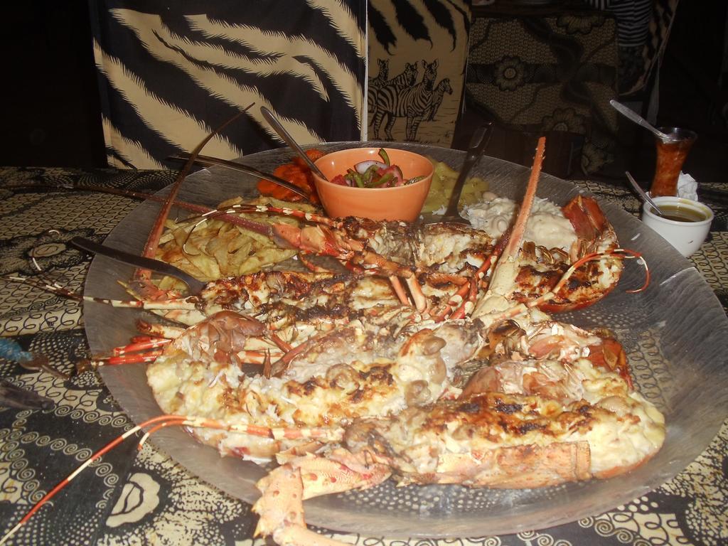 Game Fish Lodge نونغوي المظهر الخارجي الصورة