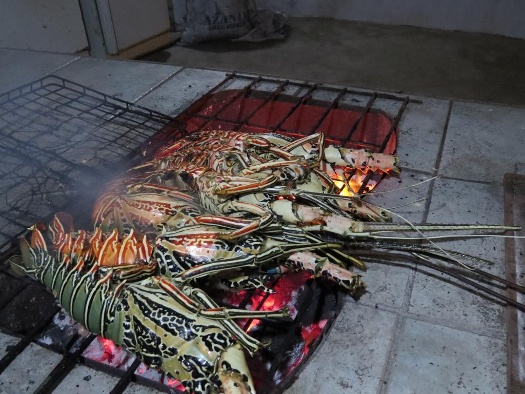 Game Fish Lodge نونغوي المظهر الخارجي الصورة