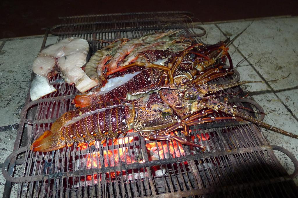 Game Fish Lodge نونغوي المظهر الخارجي الصورة